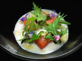 salmoneporcinilattedicocco